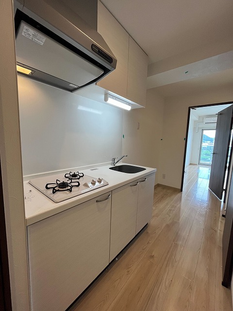 キッチン　同物件、別号室のものです。