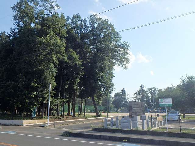 公園　小泉氷川山公園（公園）まで254m