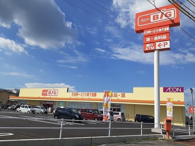 スーパー　ザ・ビッグ宇佐店（スーパー）まで1100m
