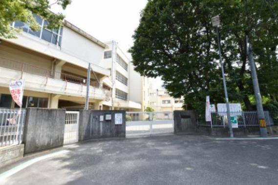 小学校　高石市立高陽小学校（小学校）まで274m