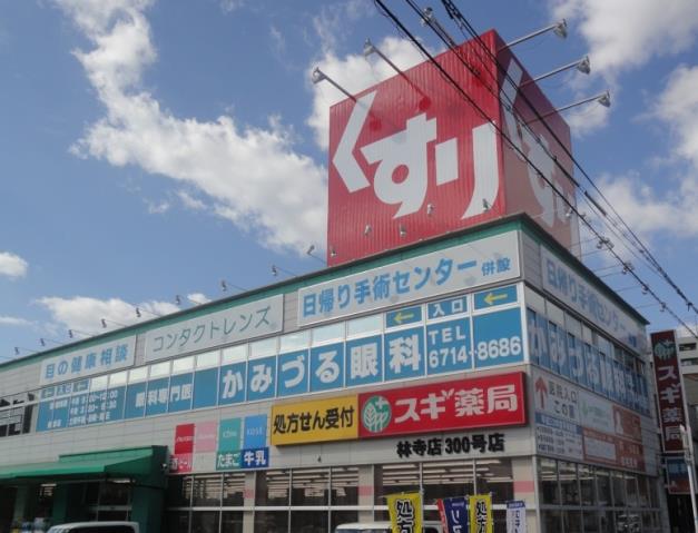 ドラックストア　スギ薬局林寺店（ドラッグストア）まで356m