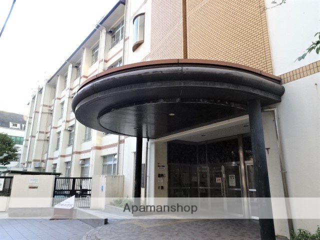 小学校　野田小学校（小学校）まで323m