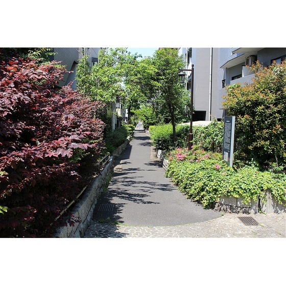 公園　桃園川緑道（公園）まで647m