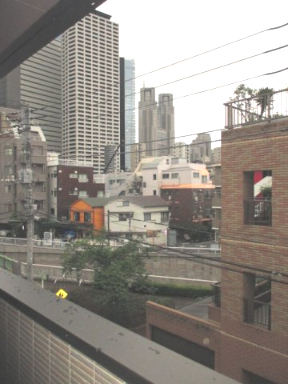 眺望　※他号室の参考写真です。