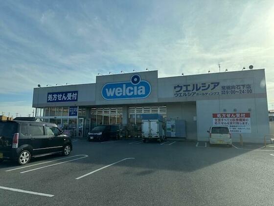 スーパー　ウエルシア常総向石下店（スーパー）まで1175m