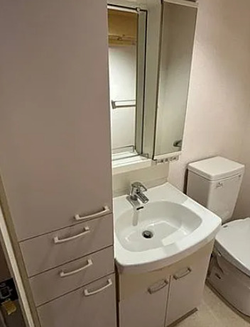 洗面設備　別部屋の画像を使用しております。