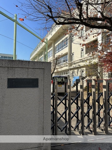 小学校　八名川小学校（小学校）まで214m