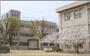 小学校　豊中市立　桜塚小学校（小学校）まで1423m