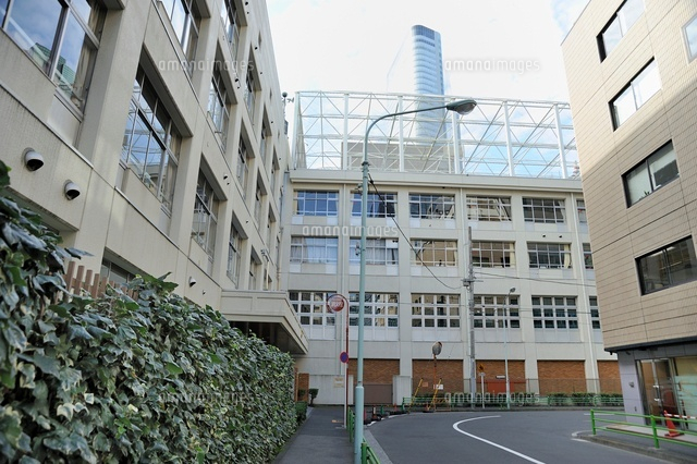中学校　中央区立銀座中学校（中学校）まで169m