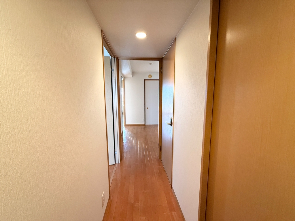 ひよどりのその他写真