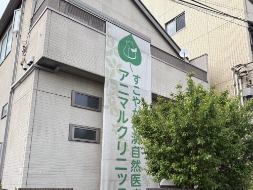 病院　すこやか和漢自然医療アニマルクリニック 横浜院（病院）まで323m