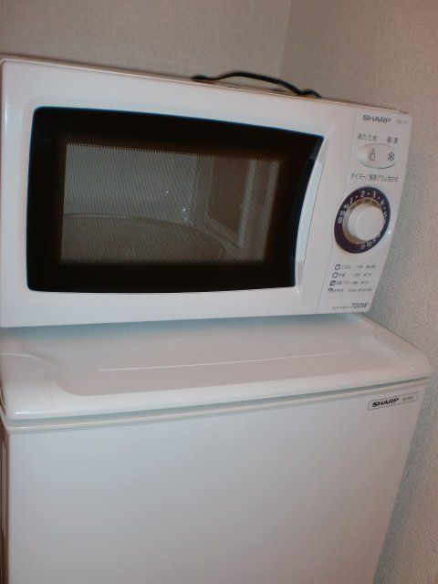 その他設備　冷蔵庫＆電子レンジ