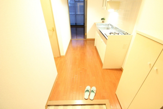 玄関　※別号室の写真です。