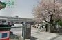 小学校　桑名市立益世小学校（小学校）まで300m