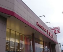 ショッピングセンター　ファッションセンターしまむら平井店（ショッピングセンター）まで1126m