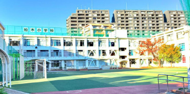 小学校　新宿区立柏木小学校（小学校）まで603m