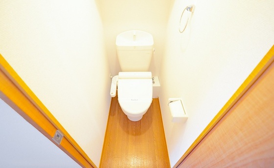 トイレ　※別部屋の写真です