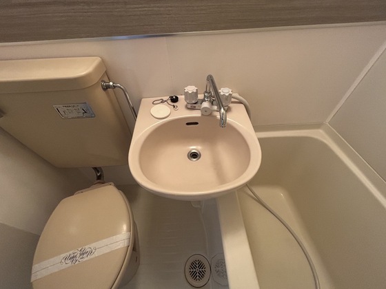 洗面設備　※別号室の写真です