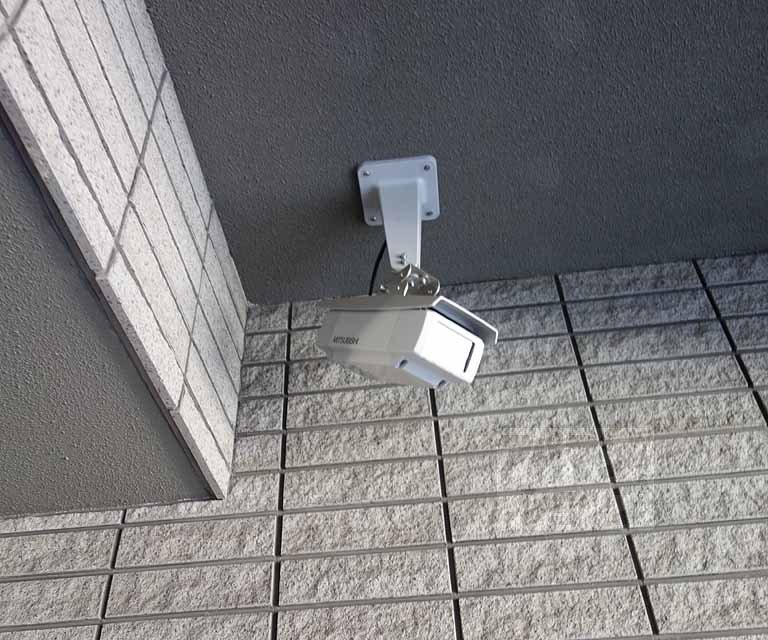 エクセレンス飛鳥のその他写真