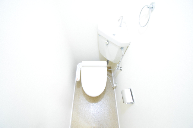 メイプルコートのトイレ写真