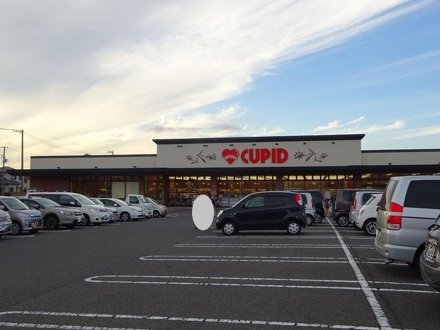 スーパー　キューピット かめだ三條岡店（スーパー）まで850m