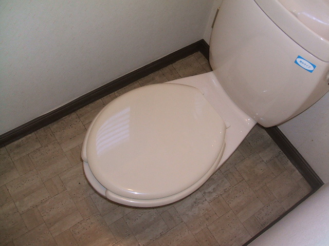 ＪＲ久大本線 久留米大学前駅 徒歩11分 2階建 築34年のトイレ写真