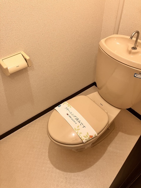 ボナール極楽のトイレ写真