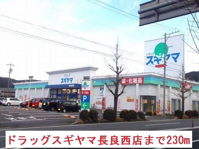 ドラックストア　ドラッグスギヤマ長良西店（ドラッグストア）まで230m