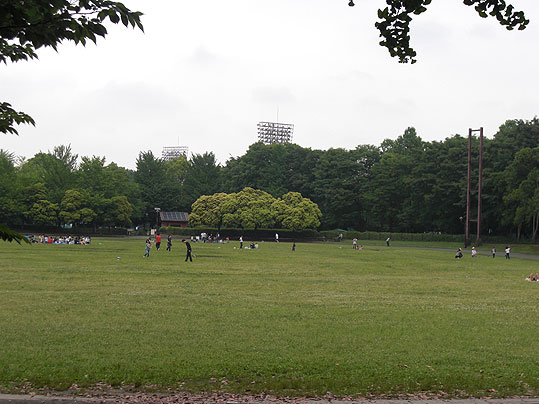 公園　都立城北中央公園（公園）まで5501m