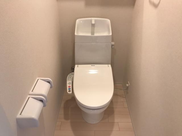東武伊勢崎線 細谷駅 徒歩25分 2階建 築1年のトイレ写真