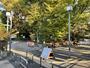 公園　中目黒しぜんとなかよし公園（公園）まで234m