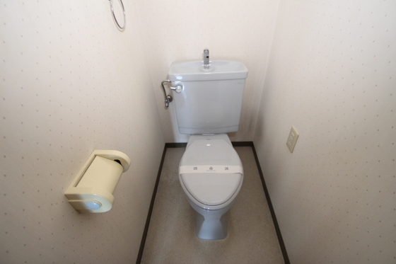 【岡山市北区鹿田町のマンションのトイレ】