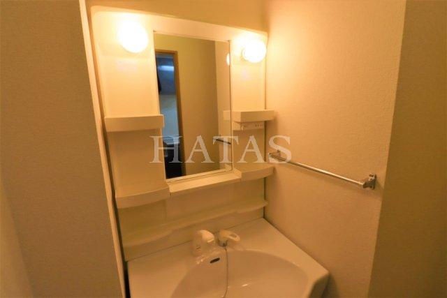 洗面設備　同物件別部屋です。