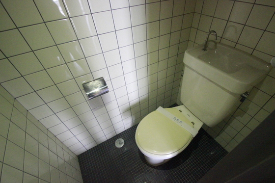 トイレ　※別号室の写真です