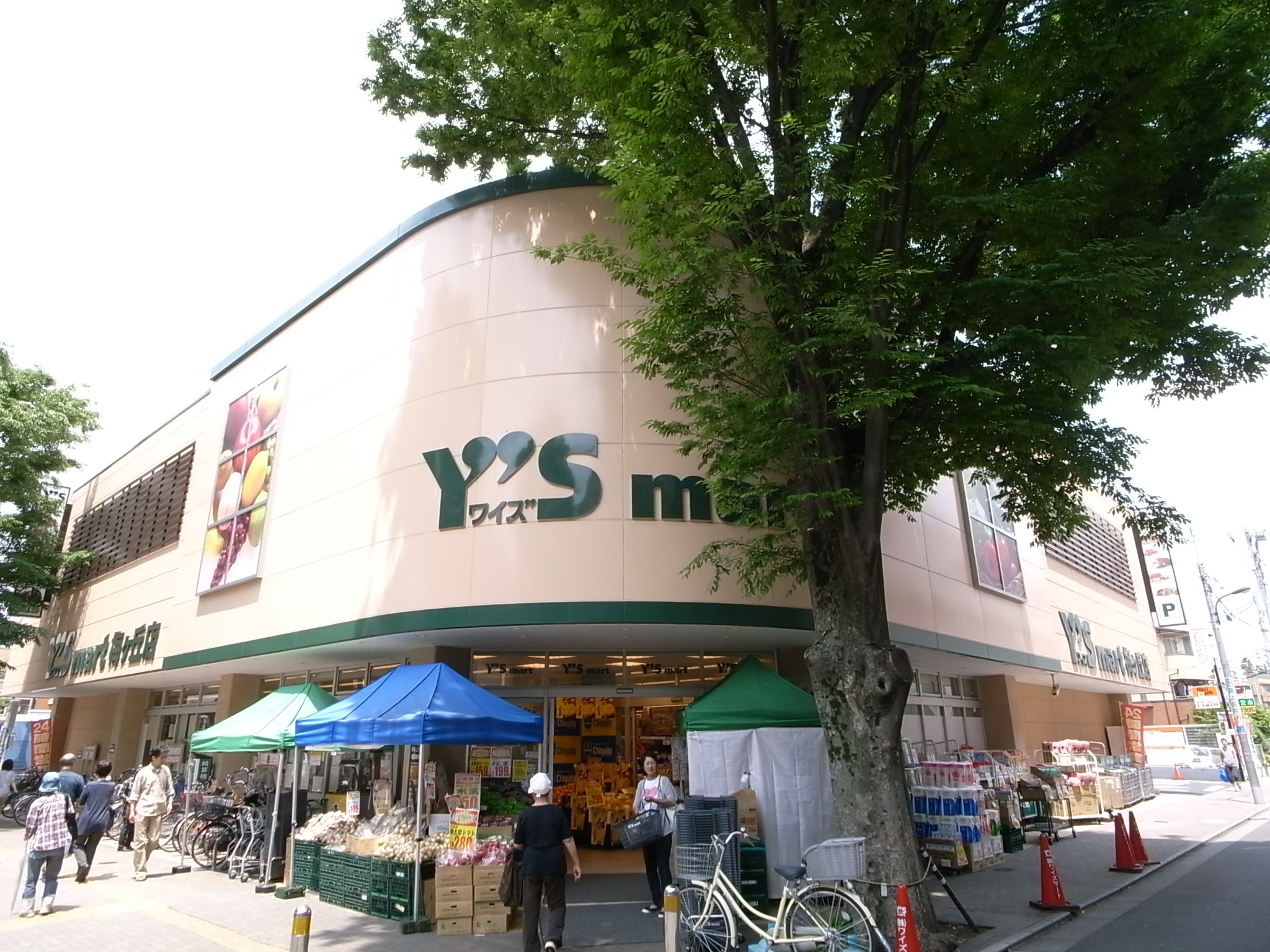 スーパー　サミットストア梅ヶ丘店（スーパー）まで669m