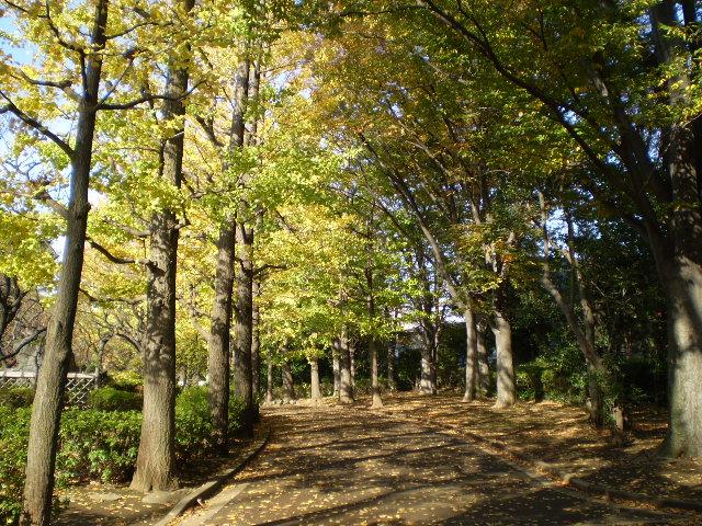 公園　羽根木公園（公園）まで755m