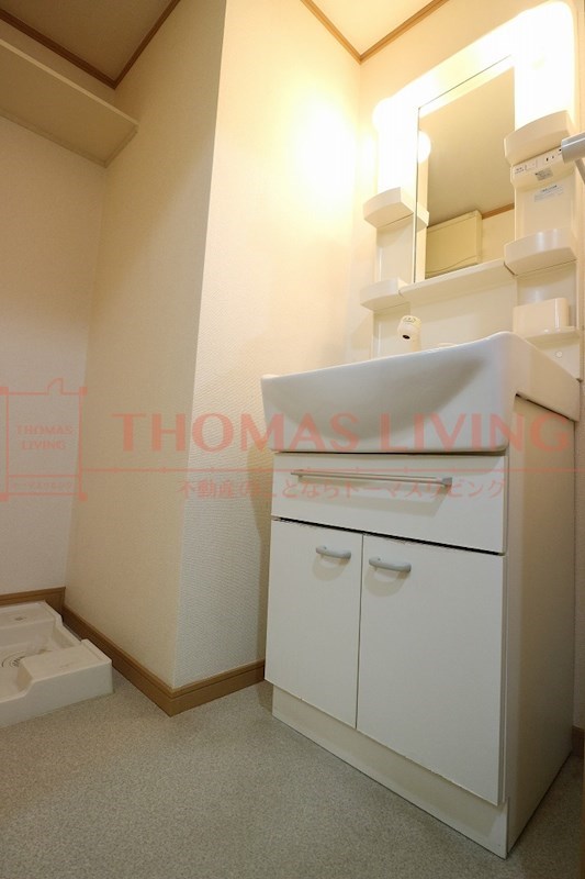 洗面設備　写真は別号室です。