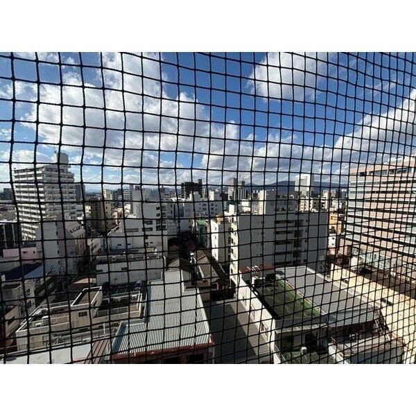 眺望　※別部屋参考
