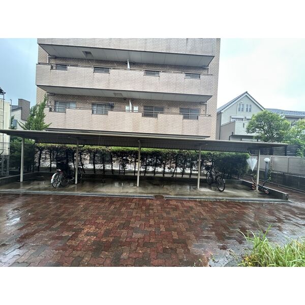 庭