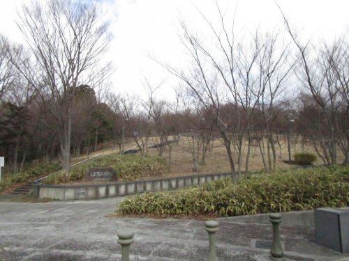 公園　都筑中央公園（公園）まで899m