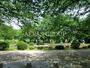 公園　千鳥ヶ淵公園（公園）まで576m