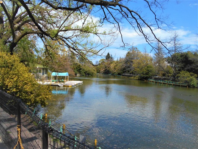 【ウイングＡIIの公園】