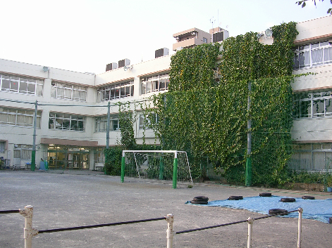 【板橋区熊野町のマンションの小学校】