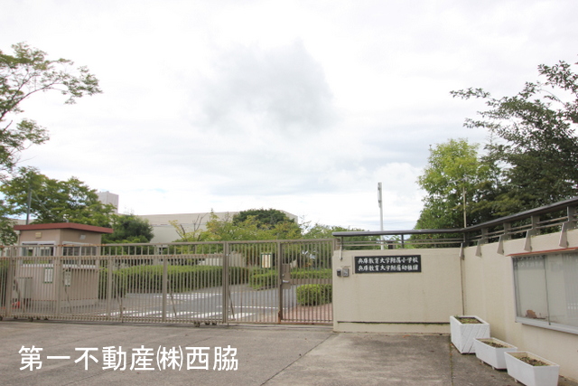 小学校　兵庫教育大学附属小学校（小学校）まで2228m