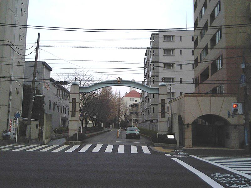 大学・短大　星薬科大学（大学・短大）まで981m