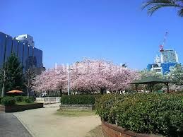 公園　中大江公園（公園）まで487m