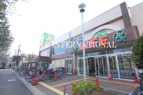 スーパー　ライフ 宮野木店（スーパー）まで1077m