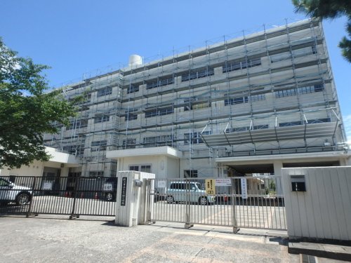 小学校　横浜市立もえぎ野小学校（小学校）まで440m