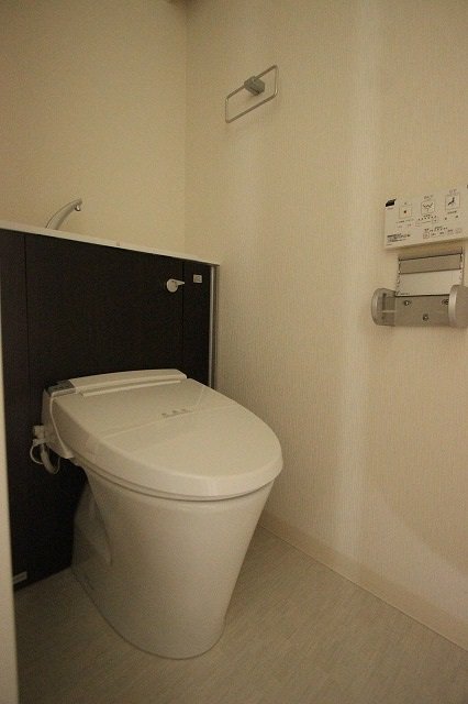 トイレ　同物件、別号室のものです。