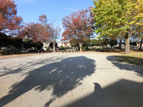 公園　蔵波公園（公園）まで469m